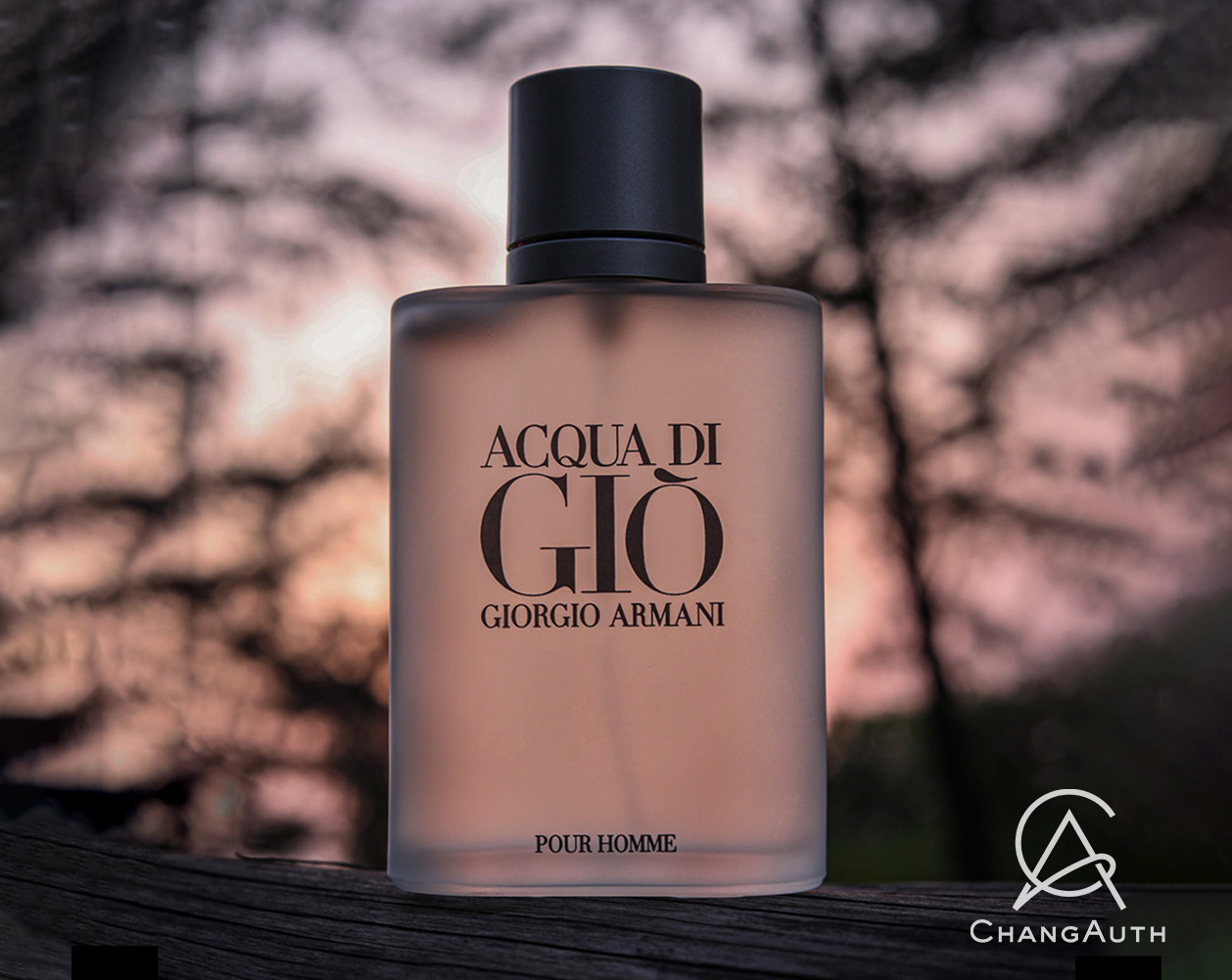 Acqua di Gio Pour Homme: Biểu Tượng của Sự Tinh Tế và Nam Tính